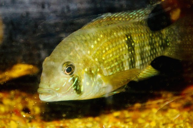 IMG_3294.jpeg IMG_3294.jpeg