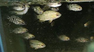 1707824696374.png 1707824696374.png