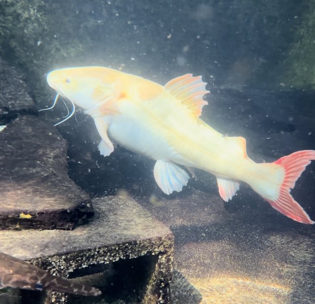 IMG_6957.jpeg IMG_6957.jpeg