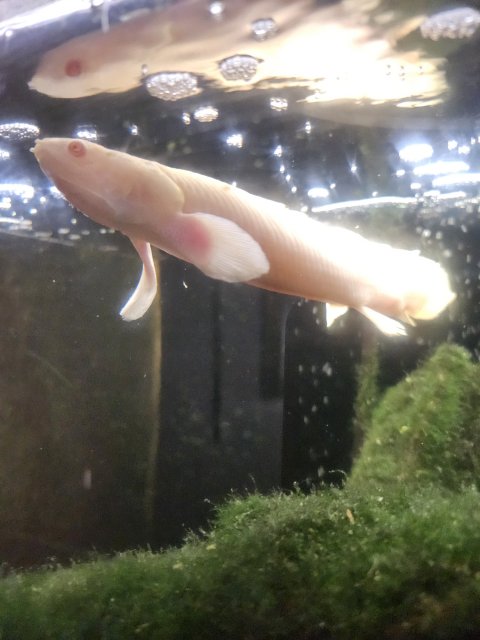 1000016505.jpg 1000016505.jpg