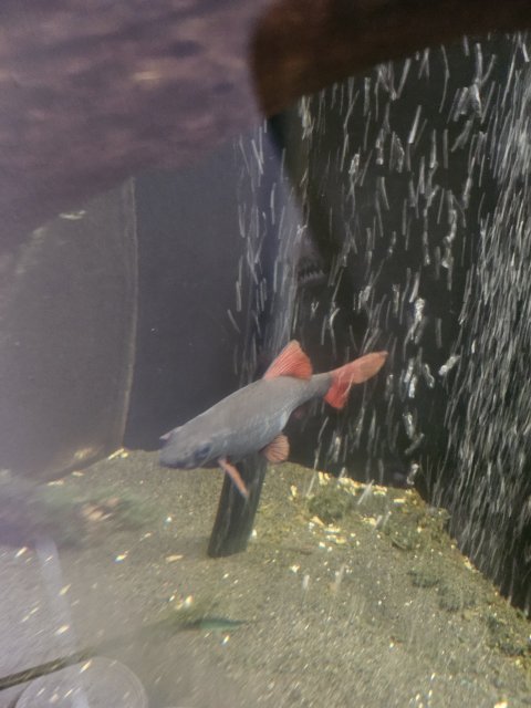 1000016507.jpg 1000016507.jpg