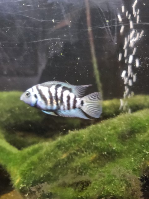 1000016506.jpg 1000016506.jpg