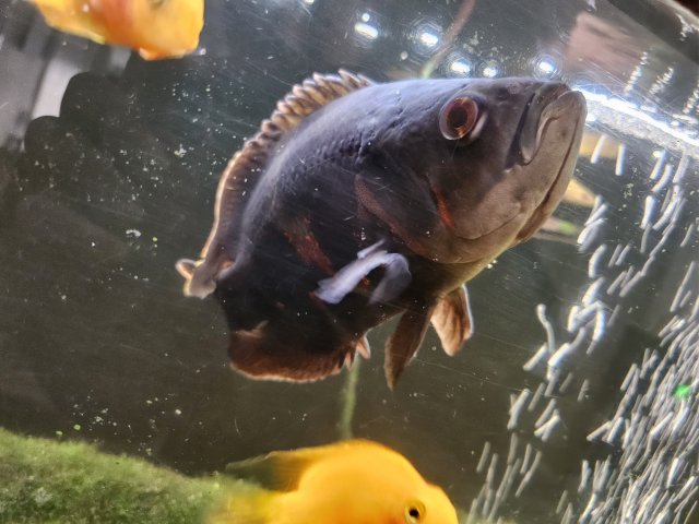 1000016500.jpg 1000016500.jpg