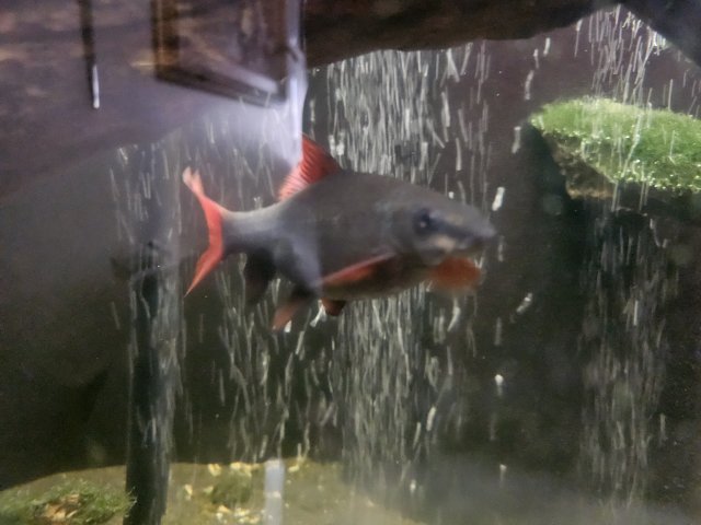 1000016503.jpg 1000016503.jpg