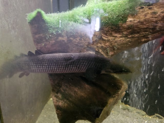 1000016502.jpg 1000016502.jpg