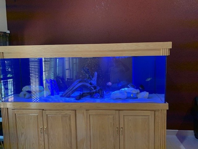 450gal Front view1.jpg