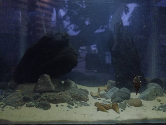 IMG_20240223_181158.jpg IMG_20240223_181158.jpg