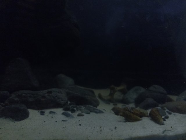 IMG_20240223_180855.jpg IMG_20240223_180855.jpg