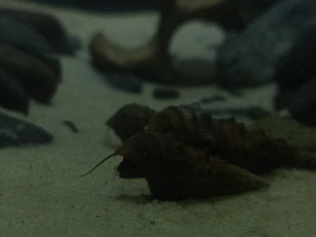 IMG_20240223_180840.jpg IMG_20240223_180840.jpg