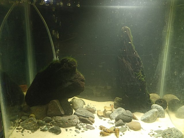 IMG_20240223_180754.jpg IMG_20240223_180754.jpg