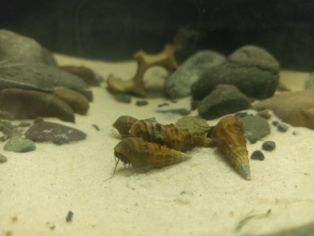 IMG_20240223_180719.jpg IMG_20240223_180719.jpg