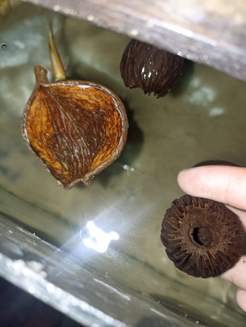 IMG_20240223_182806.jpg IMG_20240223_182806.jpg