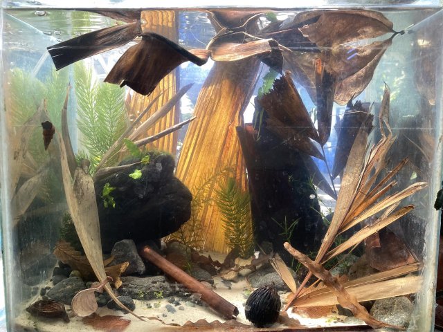 received_3745835219075688.jpeg received_3745835219075688.jpeg