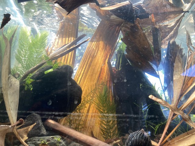 received_927686482101546.jpeg received_927686482101546.jpeg