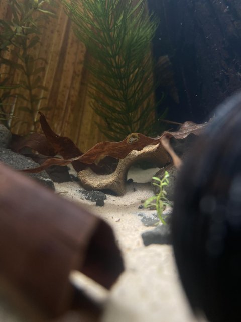 received_937328114496056.jpeg received_937328114496056.jpeg