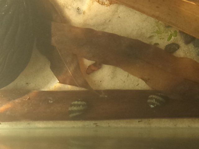 IMG_20240224_142110.jpg IMG_20240224_142110.jpg