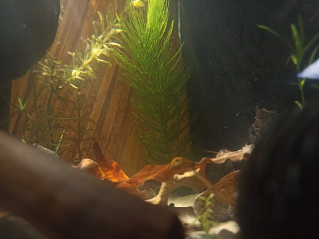 IMG_20240224_134037.jpg IMG_20240224_134037.jpg