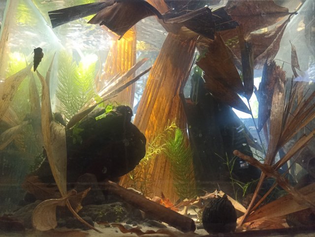 IMG_20240224_133943.jpg IMG_20240224_133943.jpg