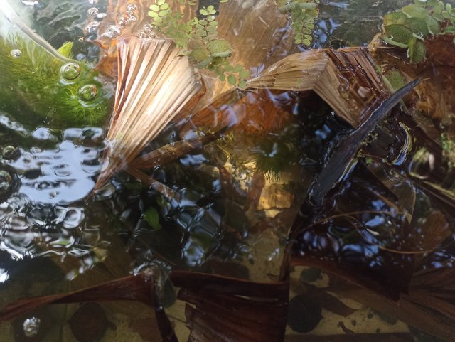 IMG_20240224_133638.jpg IMG_20240224_133638.jpg