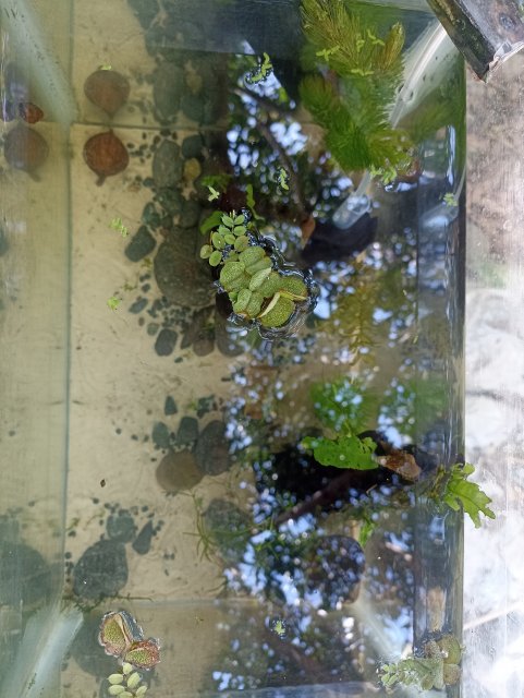 IMG_20240224_114519.jpg IMG_20240224_114519.jpg