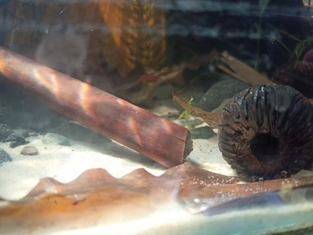 IMG_20240224_141940.jpg IMG_20240224_141940.jpg