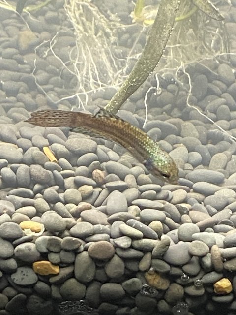 IMG_2833.jpeg IMG_2833.jpeg