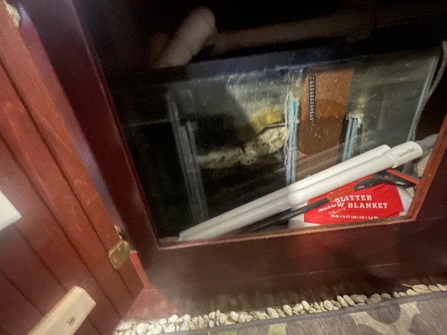 IMG_0875.jpeg