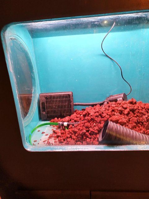 The under gravel set up.jpg