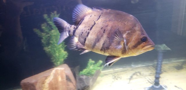 20240305_082206_capture.jpg 20240305_082206_capture.jpg