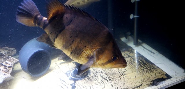 20240316_223412_capture(0).jpg 20240316_223412_capture(0).jpg