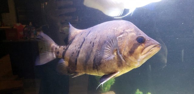 20240305_082159_capture.jpg 20240305_082159_capture.jpg