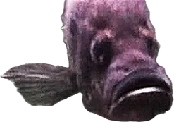 1710778784898.png
