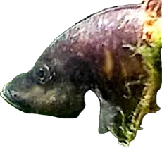 1710778815205.png