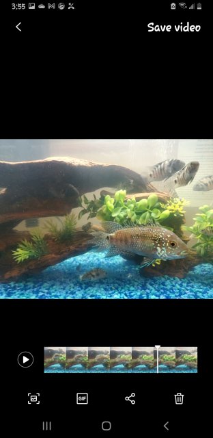 Screenshot_20240320-035542_Motion photo viewer.jpg