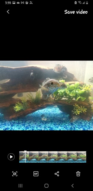 Screenshot_20240320-035533_Motion photo viewer.jpg