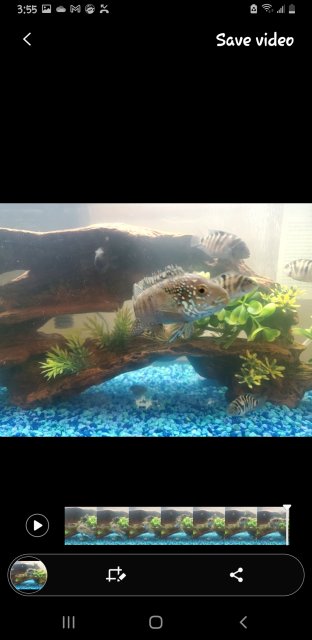 Screenshot_20240320-035520_Motion photo viewer.jpg