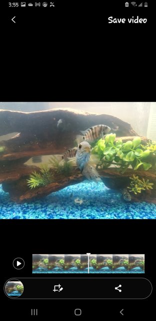 Screenshot_20240320-035509_Motion photo viewer.jpg