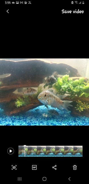 Screenshot_20240320-035500_Motion photo viewer.jpg