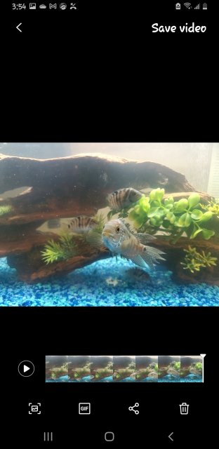 Screenshot_20240320-035436_Motion photo viewer.jpg