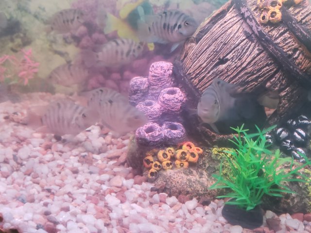 20240308_102908.jpg 20240308_102908.jpg