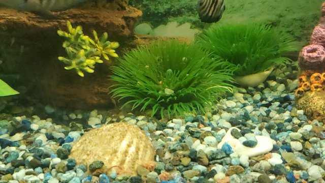20231105_102152.jpg