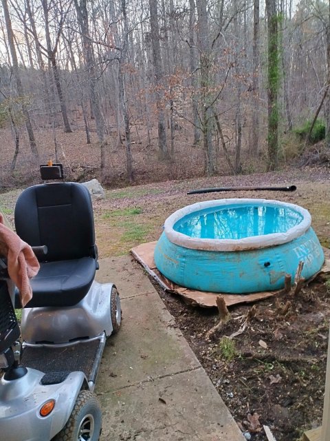 Koi pool, short term.jpg