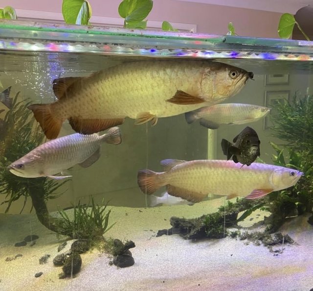 IMG_8137.jpeg IMG_8137.jpeg