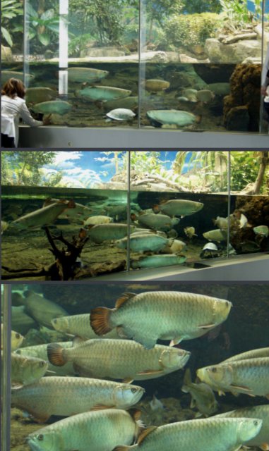 IMG_8138.jpeg IMG_8138.jpeg