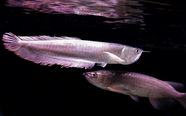 1711946351481.png 1711946351481.png