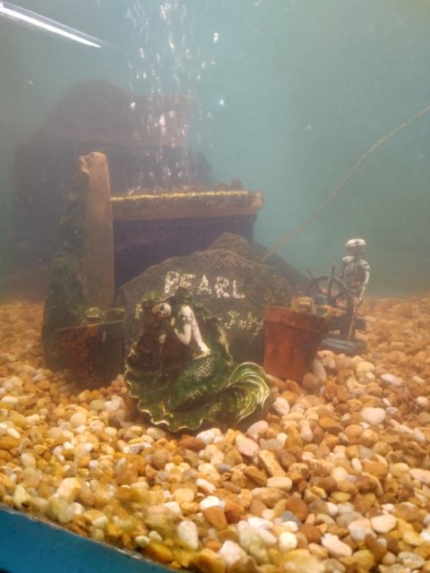 Pearl's Memorial.jpg