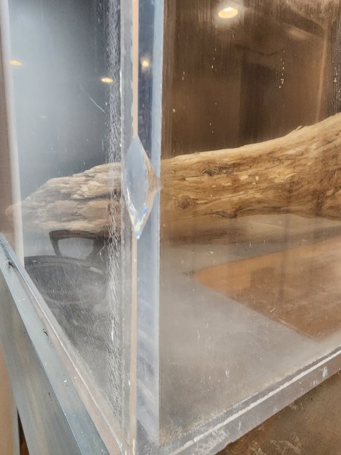 20240325_003446.jpg