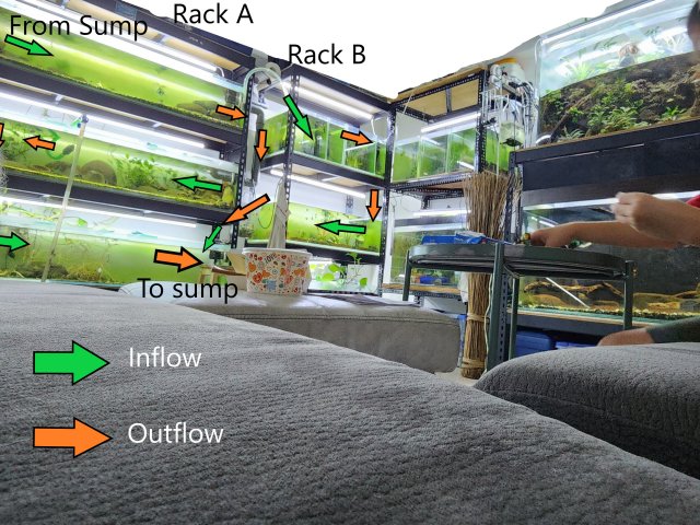 Flow of Racks.jpg