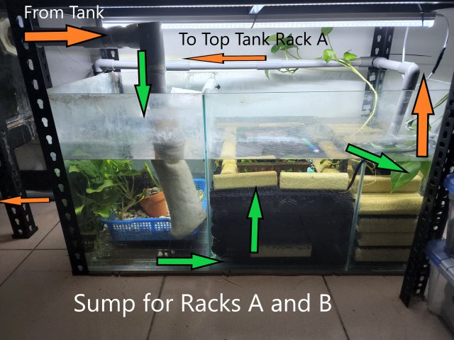 Sump Flow.jpg