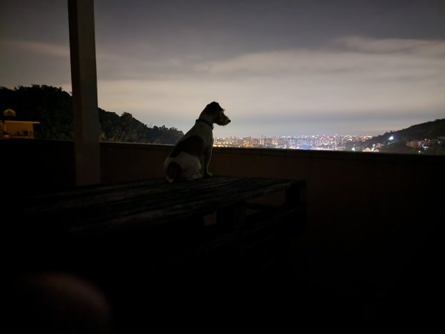 20220711_025451.jpg